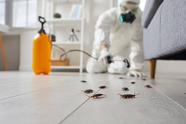 Post-Treatment Bed Bug Interceptor Monitoring in Sanford