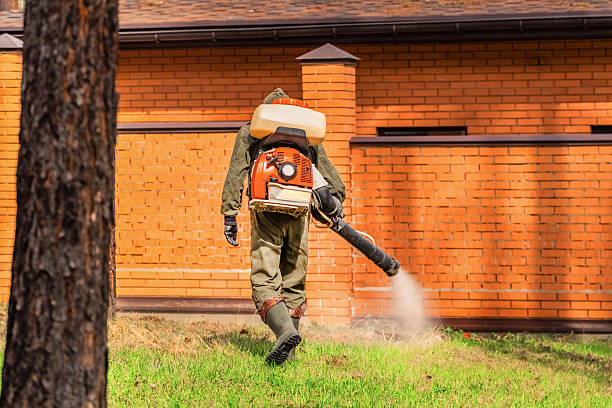 Bed Bug Clearance Verification and Documentation in Sanford